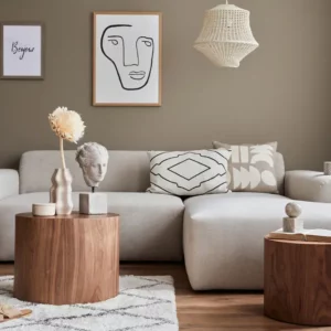 Mobilier aux lignes sobres